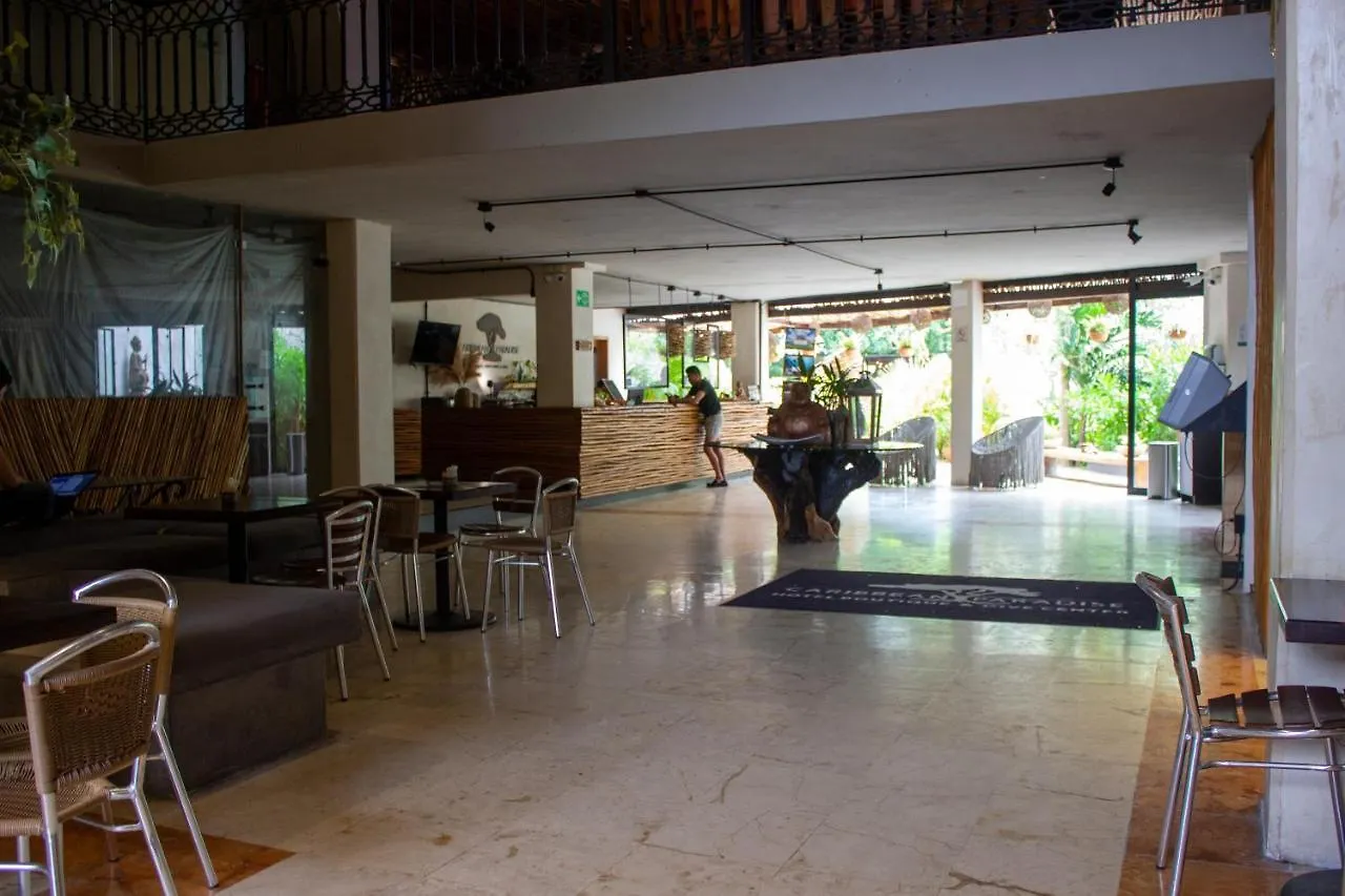 Caribbean Paradise Hotel & Spa - 5Th Avenue Playa del Carmen