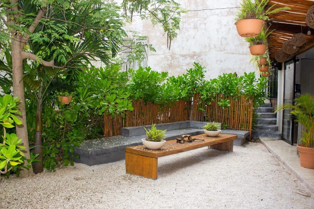 Caribbean Paradise Hotel & Spa - 5Th Avenue Playa del Carmen Mexico