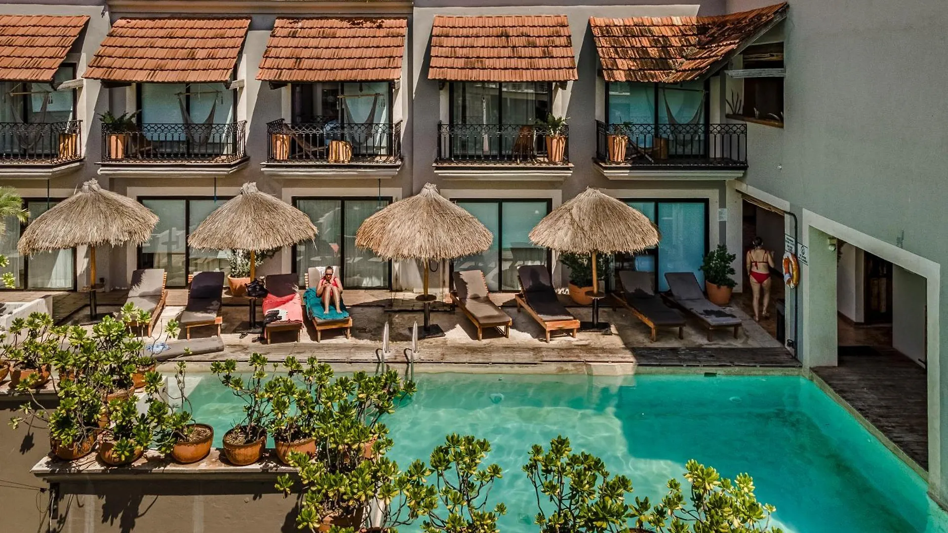 Caribbean Paradise Hotel & Spa - 5Th Avenue Playa del Carmen Mexico
