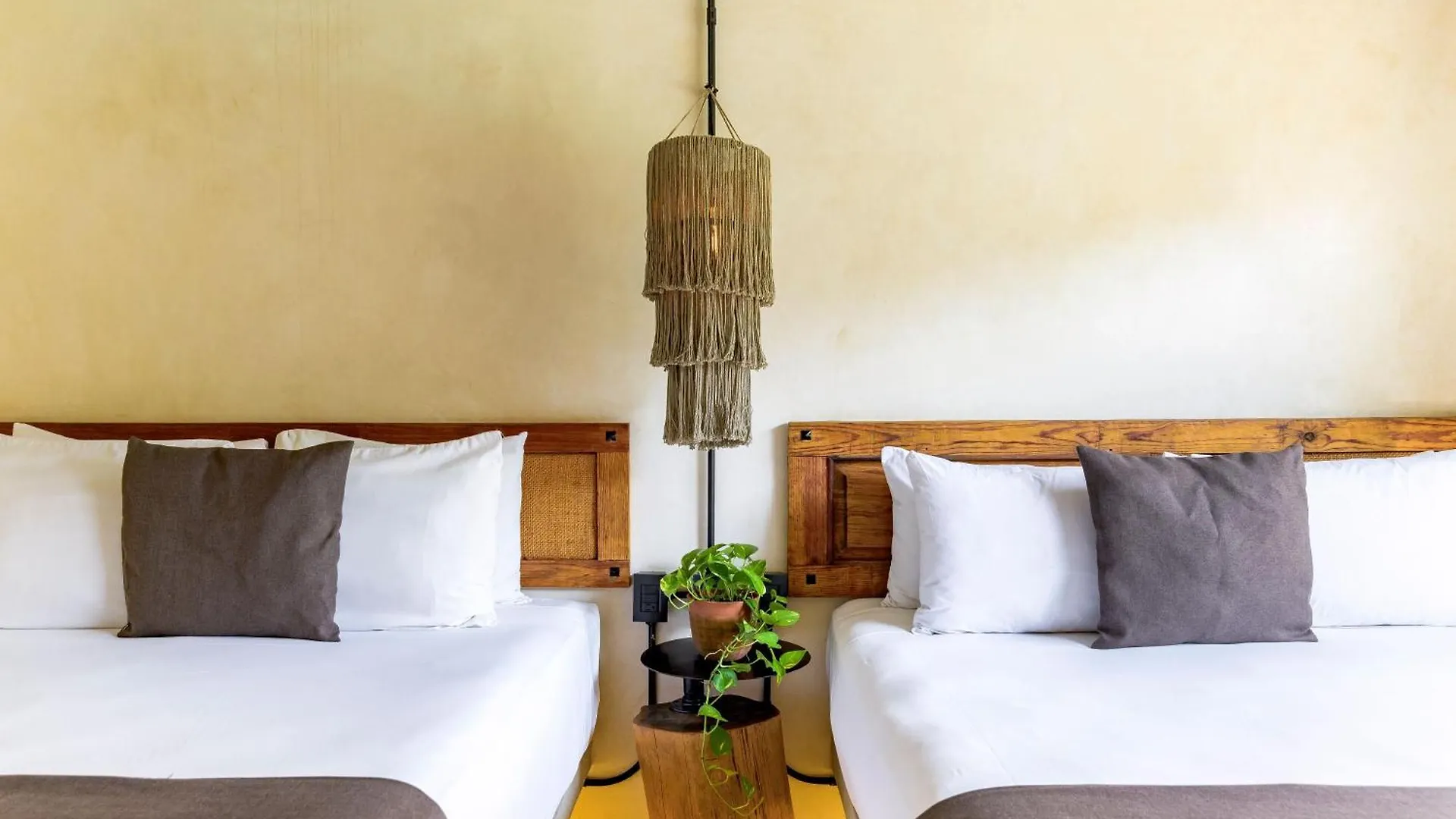 Caribbean Paradise Hotel & Spa - 5Th Avenue Playa del Carmen