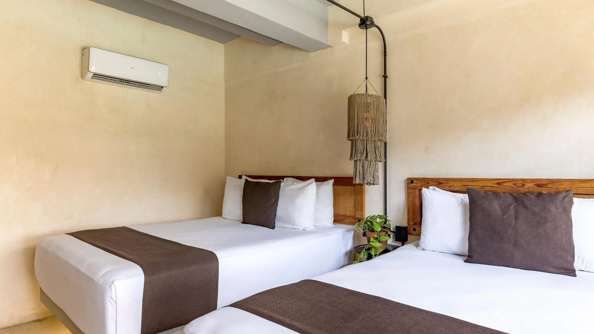 Caribbean Paradise Hotel & Spa - 5Th Avenue Playa del Carmen México