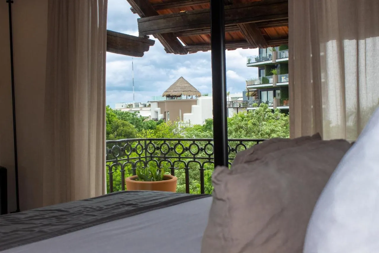 Caribbean Paradise Hotel & Spa - 5Th Avenue Playa del Carmen