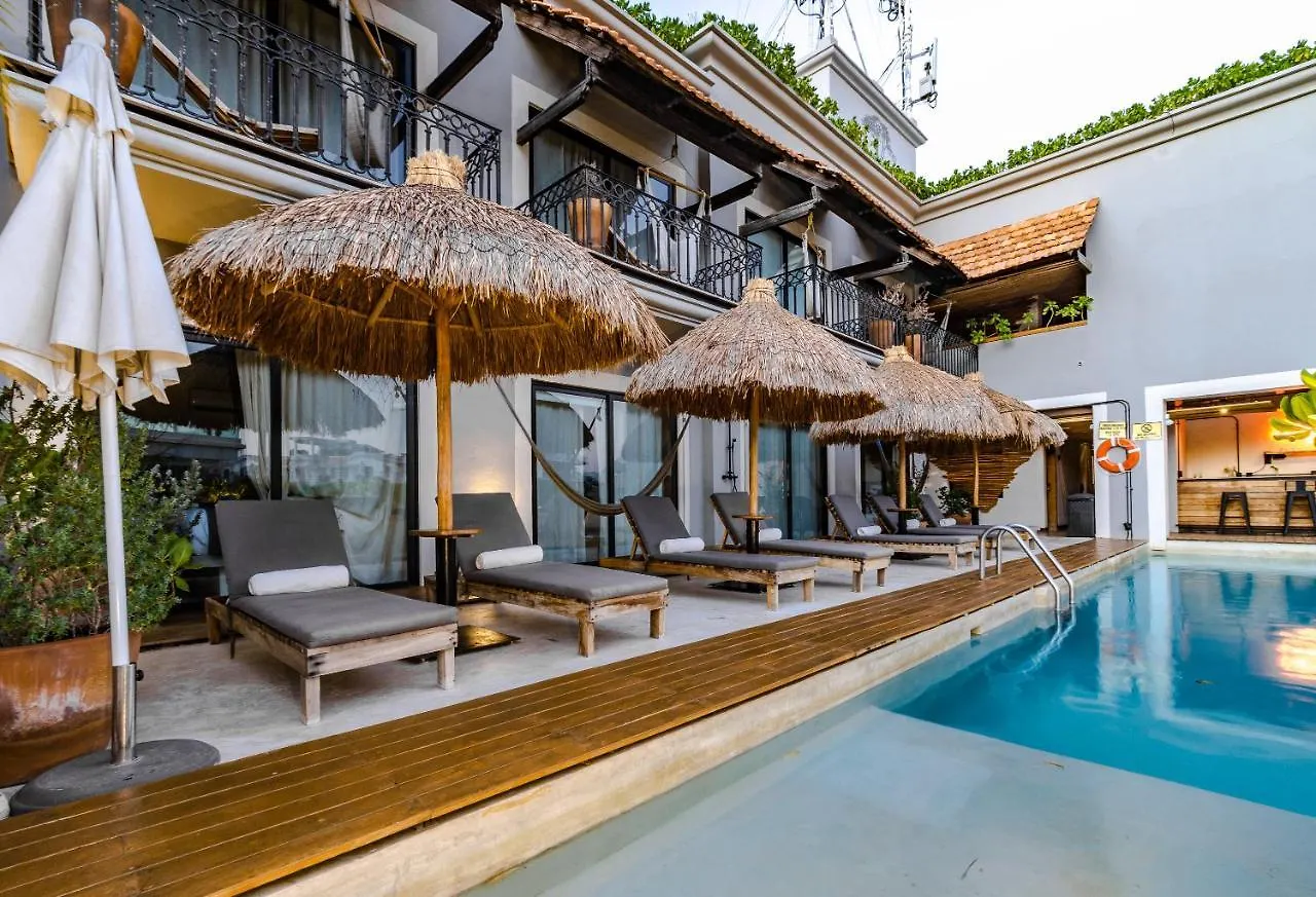 Caribbean Paradise Hotel & Spa - 5Th Avenue Playa del Carmen